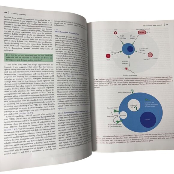 Exploring Immunology Concepts And Evidence By Gordon McPherson & Jon Austyn HC - Picture 11 of 16